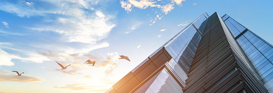 简介.png 简介.png